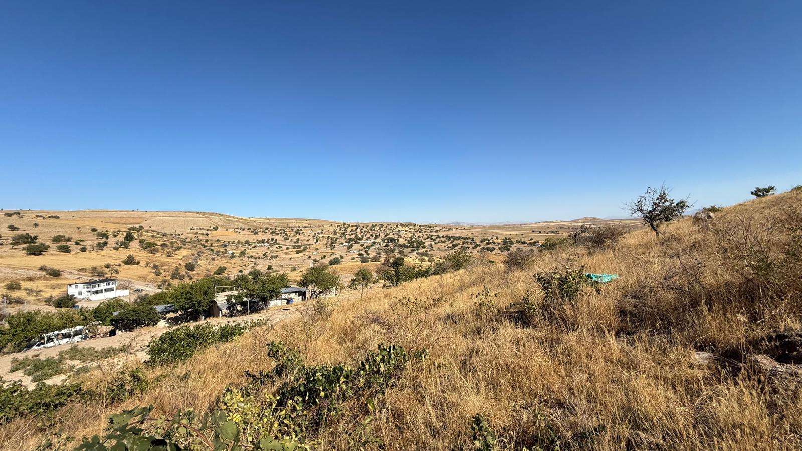 KAYSERİ DEVELİ ÇOMAKLI MAHALLESİ YAPRAKLIBURUN MEVKİİNDE SATILIK BAĞ